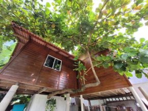 Casa na árvore refúgio próximo ao centro de Itapema